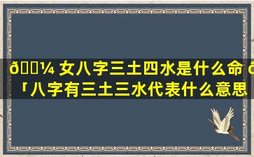 🌼 女八字三土四水是什么命 🦊 「八字有三土三水代表什么意思」